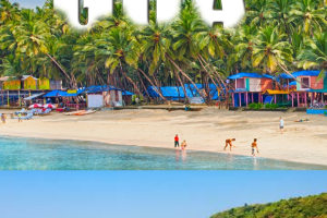 Goa Group Tour Packages From Nagpur