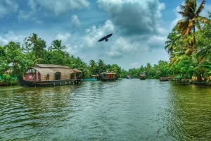 Kerala Family Holiday Package