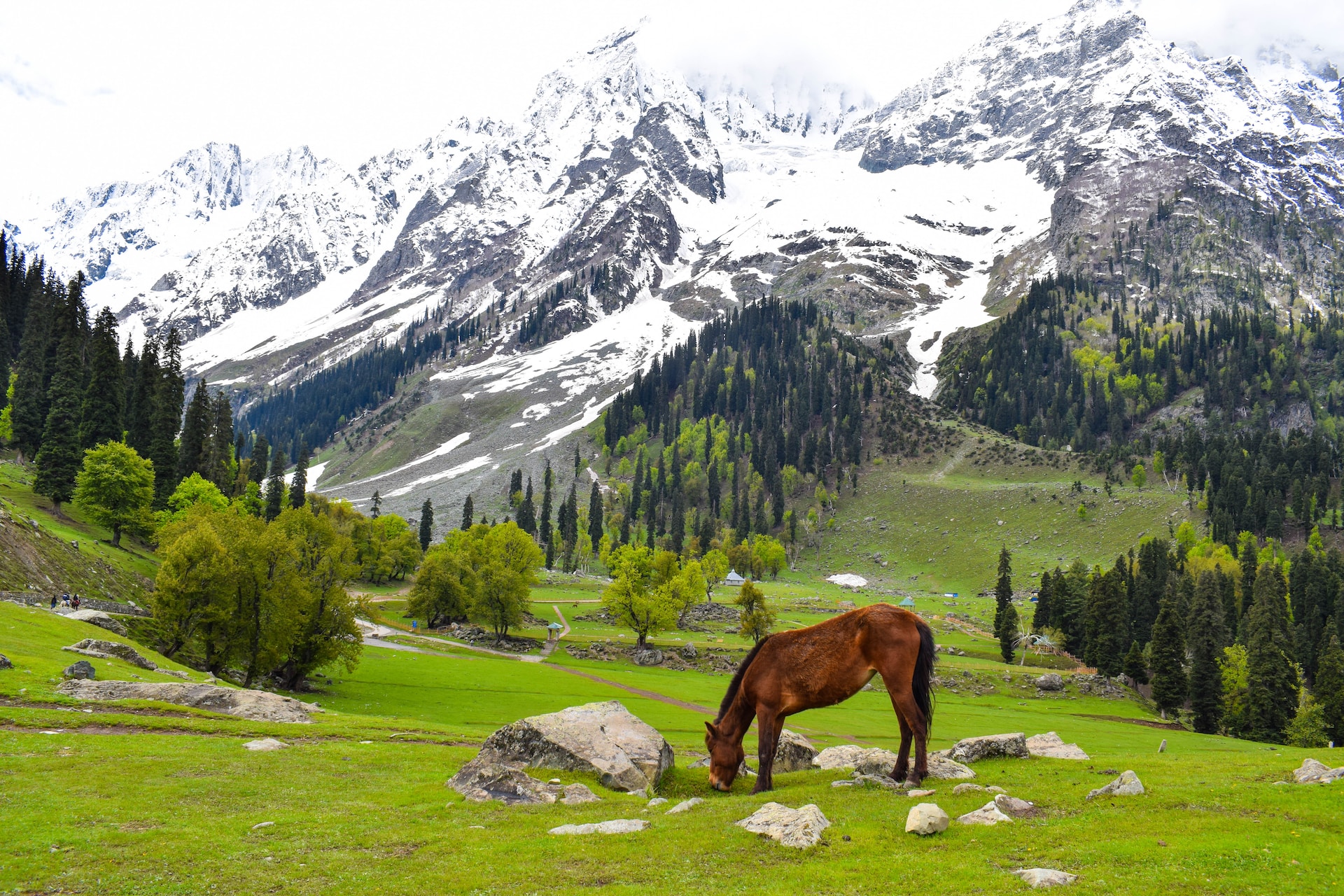 Kashmir tour pacages from nagpur